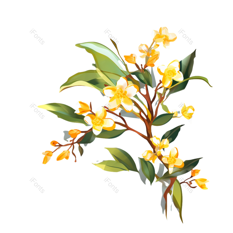 装饰图片,元素元素,传统PNG,树枝免抠素材